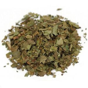 BLACK WALNUT LEAVES C/S