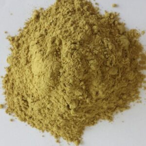 SKULLCAP HERB POWDER