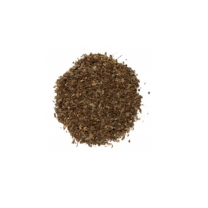 SQUAW VINE HERB (PARTRIDGE BERRY) C/S